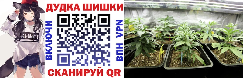 Каннабис THC 21%  где купить наркотик  Бирюч 